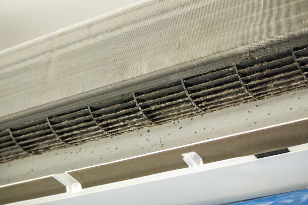 Best Local Air Duct Cleaning Services  in Clarks Green, PA